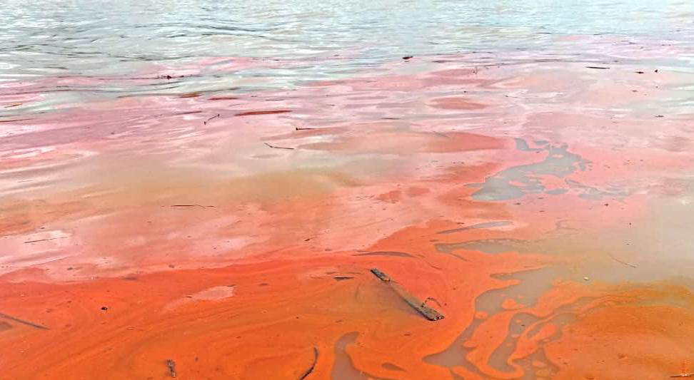MEMERAH: Kondisi air Sungai Sejangkung kemerahan karena terkena tumpahan CPO. ISTIMEWA