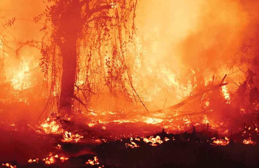TERBAKAR: Kondisi lahan yang terbakar di Jalan Sepakat II Ujung, Kecamatan Pontianak Tenggara pada Maret 2021. (ARIEF NUGROHO/PONTIANAK POST)