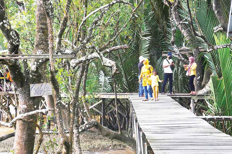 INOVASI: Suasana Kawasan ekowisata mangrove Telok Berdiri di Desa Sungai Kupah, Kubu Raya. Foto kanan, bibit mangrove yang diadopsi difoto bersama pengadopsi dan koordinatnya di-input ke dalam aplikasi. HARYADI/PONTIANAKPOST