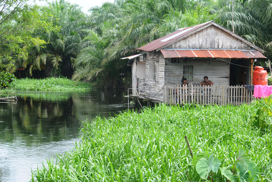 DI ATAS AIR: Sebuah rumah berada di atas air di kawasan Pontianak Utara. Kondisi tersebut akan berpengaruh pada fungsi parit karena akan menghambat aliran air. HARYADI/PONTIANAKPOST