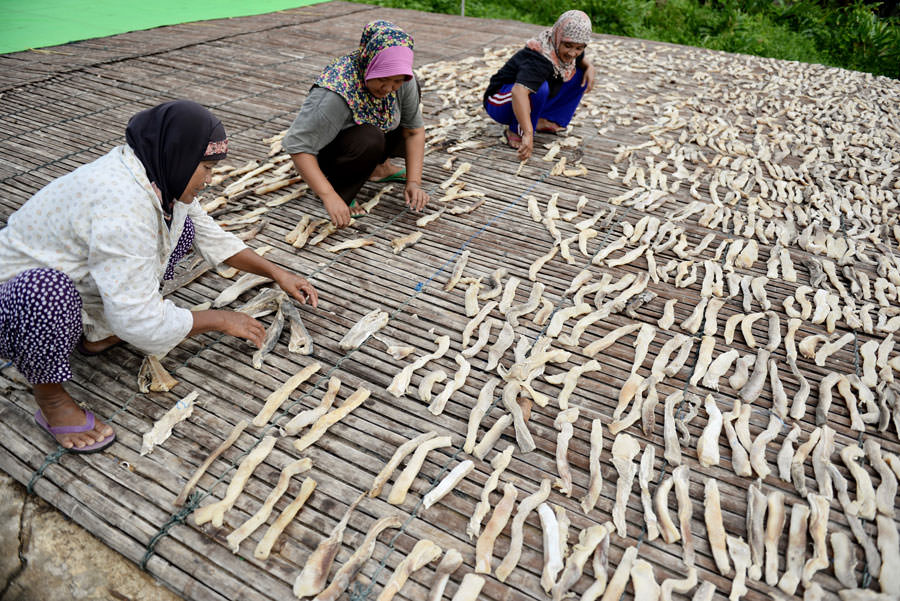 PENGOLAHAN ASINAN: Sejumlah pekerja di Pangkalan Pendaratan Ikan (PPI) Sungai Kakap sedang melakukan proses pengolahan asinan dari bahan baku hiu dan pari. (ARIEF NUGROHO/PONTIANAK POST)