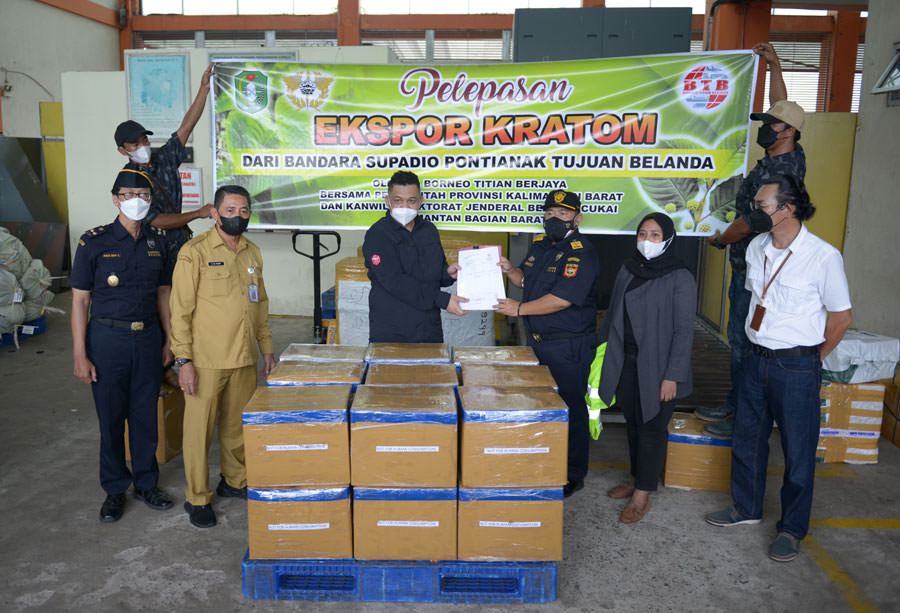 EKSPOR LANGSUNG: Proses pelepasan ekspor kratom secara langsung dari Bandara Udara Internasional Supadio Pontianak tujuan Belanda di terminal Kargo Bandara Supadio Internasional Pontianak, kemarin. (ARIEF NUGROHO/PONTIANAK POST)