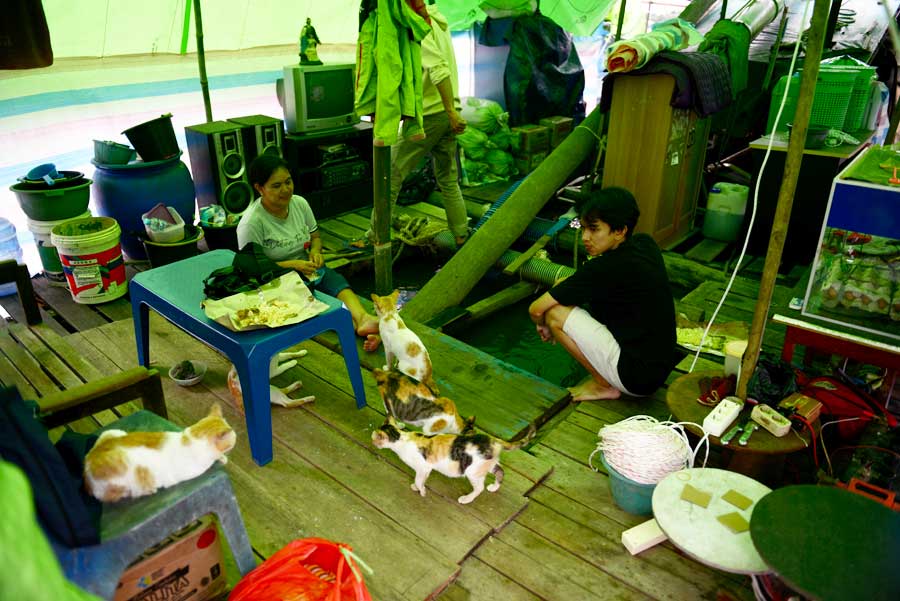 MENGUNGSI DI LANTING: Warga Desa Teluk Kelansam, Kecamatan Sintang membuat tenda di lanting jek sebagai tempat mengungsi sejak tiga pekan terakhir. ARIEF NUGROHO/PONTIANAK POST