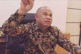 Herri Mustamin, Anggota DPRD Kalbar