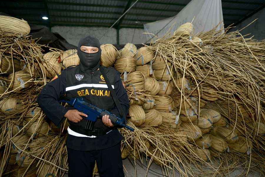 ROTAN MENTAH: Petugas Bea dan Cukai saat menunjukkan barang bukti rotan mentah yang diamankan dari operasi patroli laut di perairan utara Pulau Subi, Kepulauan Natuna. Saat ini barang bukti disimpan di gudang penyimpanan di Jalan Pramuka, Kabuoaten Kubu R