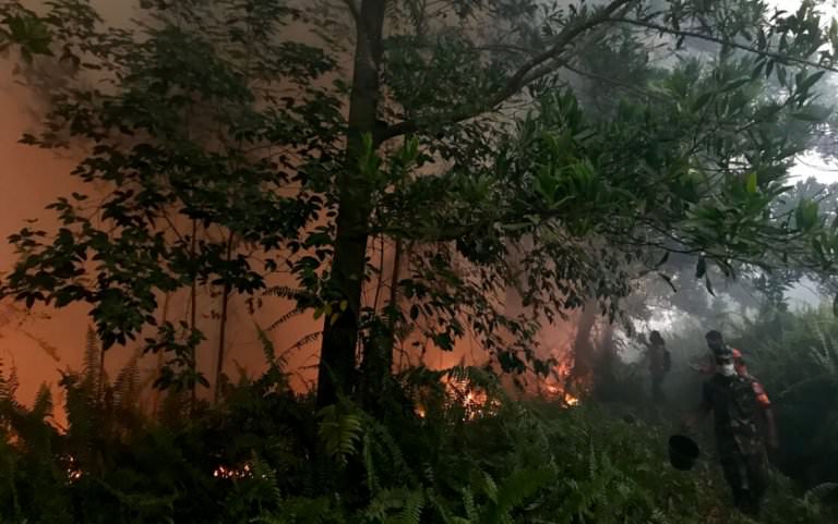 Foto ilustrasi karhutla. (Dok. Pontianak Post)
