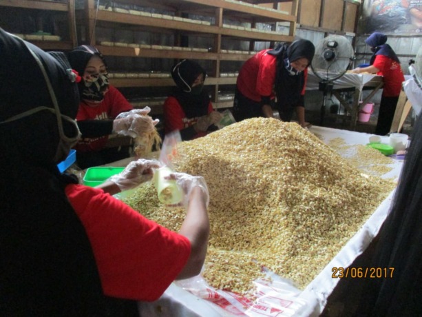 DIKEMAS : Para pekerja sedang mengemas butiran-butiran kedelai yang sudah dicampur ragi ke dalam plastik. (Siti/Pontianak Post)
