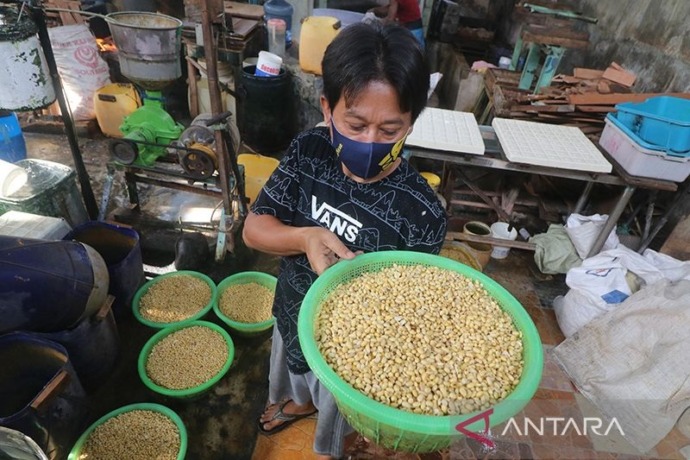 MELONJAK TINGGI: Seorang perajin menyiapkan kedelai sebagai bahan baku tahu dan tempe. Melonjaknya harga kedelai impor membuat para perajin terpaksa mengurangi ukuran tahu dan tempe. (Antara Foto/Prasetia Fauzani)