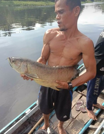 DAMPAK PENCEMARAN: Aktivis Walhi Hendrikus Adam bersama Kades Retok Sahidin menunjukkan ikan yang mati di Sungai Retok, Kecamatan Kuala Mandor, Kabupaten Kubu Raya, Minggu (17/4). (IST)