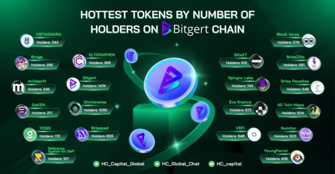 BRISE coin memiliki banyak project yang sedang