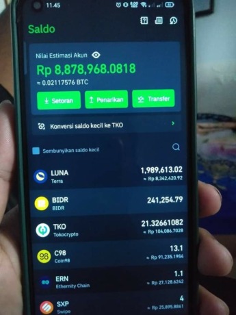 Harga Terra Luna anjlok ke dasar jurang. Banyak investor melakukan pembelian reboun kembali melihat rencana devnya dan exchanger dunia membuka kembali perdagangannya. (IST)