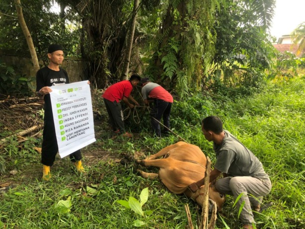 Pemotongan hewan kurban yang didistribusikan Dompet Ummat (Istimewa)