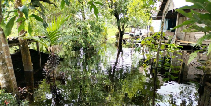 BANJIR: Banjir di pemukiman warga Dusun Sri Medan, Desa Peniti Besar. WAHYU/PONTIANAKPOST