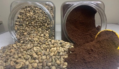ASLI SINTANG: Biji kopi dan bubuk kopi dari Kecamatan Ambalau Kabupaten Sintang. Instagram @ulunjuoi.coffee