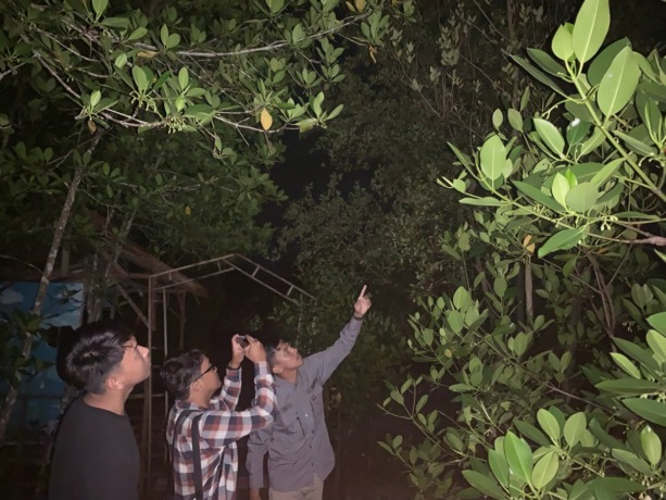 Wisatawan melihat kunang-kunang di Mempawah Mangrove Park, Desa Pasir, Kabupaten Mempawah. foto Shando Safela