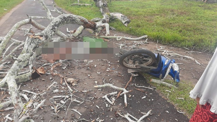 TERTIMPA POHON : Korban tertimpa pohon tumbang di Jalan Komplek Pemakaman Tionghoa Desa Payak Kumang, Kecamatan Delta Pawan, Rabu (22/3) pagi. (IST)