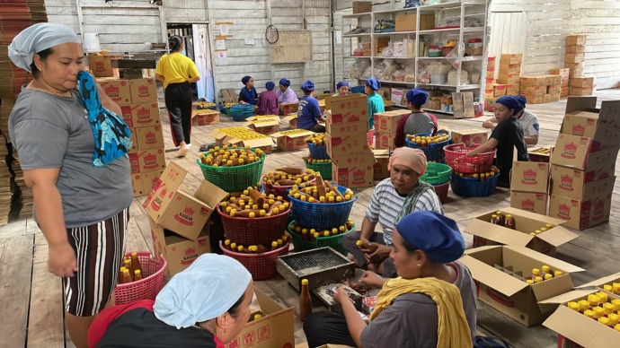 Karyawan Sambal Kaisar dan Sambal Balado72 sedang mengemas botol sambak ke dalam dus. Penjualan produk dari Desa Pangkalan, Kecamatan Sungai Raya Kepulauan, Kabupaten Bengkayang ini meningkat 100 persen sejak menerapkan adaptasi digital. Selain rajin memb