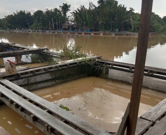 KERUH: Air Sungai Mempawah tampak keruh pada pagi hari. IST