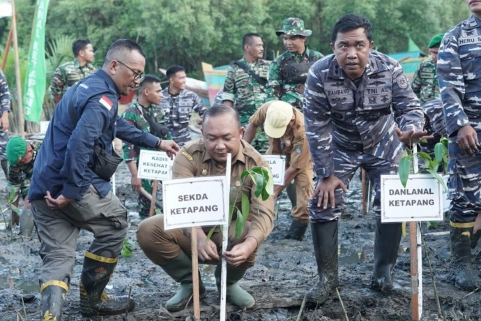 TANAM MANGROVE : Sekda Ketapang, Alexander Wilyo, ikut menanam mangrove pada puncak penanaman mangrove nasional, Senin (15/5) sore. IST