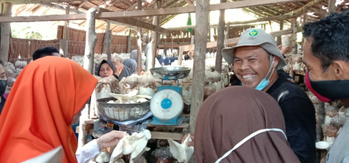 Ikram dan kumbung jamurnya. Budidaya jamur tiram memiliki tantangan tersendiri bagi Ikram. (Istimewa)