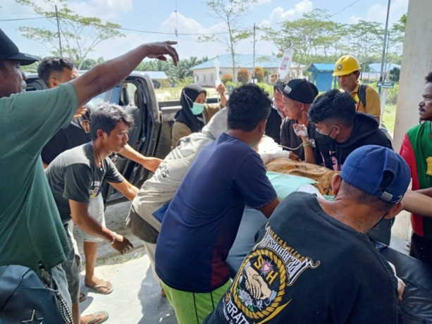 SELAMAT : Korban yang berhasil selamat dari terkaman buaya di Kendawangan, dilarikan ke rumah sakit di Pangakalanbun, Kalteng.