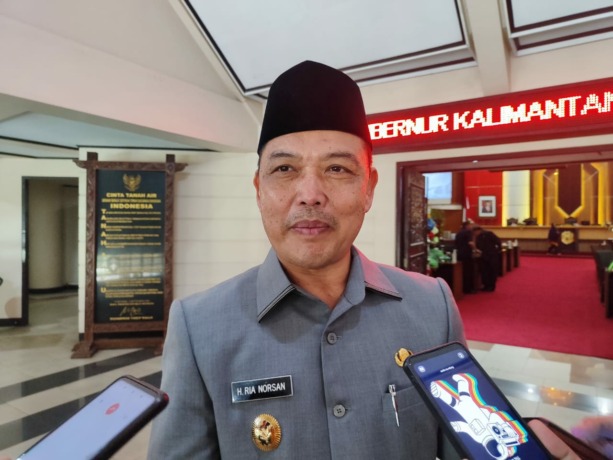 Ria Norsan, Wakil Gubernur Kalbar. (IST)