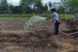 Petani terus bertahan di ladang garapan mereka pada musim pengering dan ancaman karhutla seperti sekarang ini.