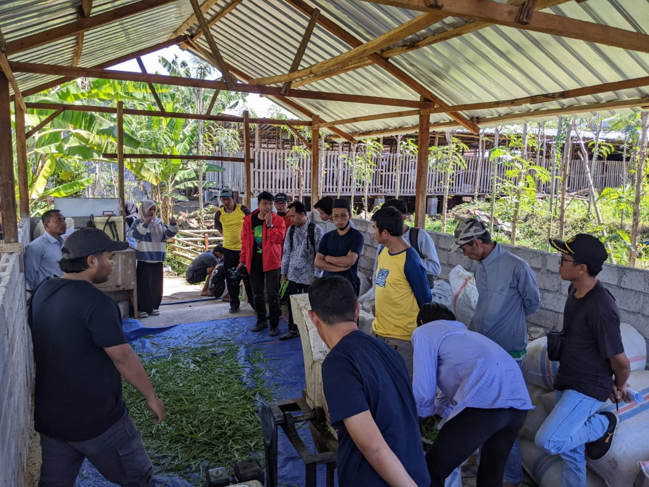 PRAKTIK MEMBUAT PAKAN: Peserta pelatihan manajemen agribisnis dan nutrisi kambing perah tengah melakukan praktik pembuatan pakan komplit tinggi nutrisi di kandang peternakan kambing CV Cahaya Rizki Fa