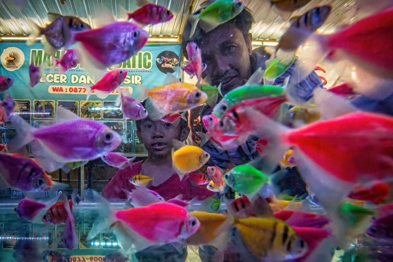 Masyarakat asyik melihat-lihat sambil berbelanja ikan hias di pasar Rembiga, Mataram.