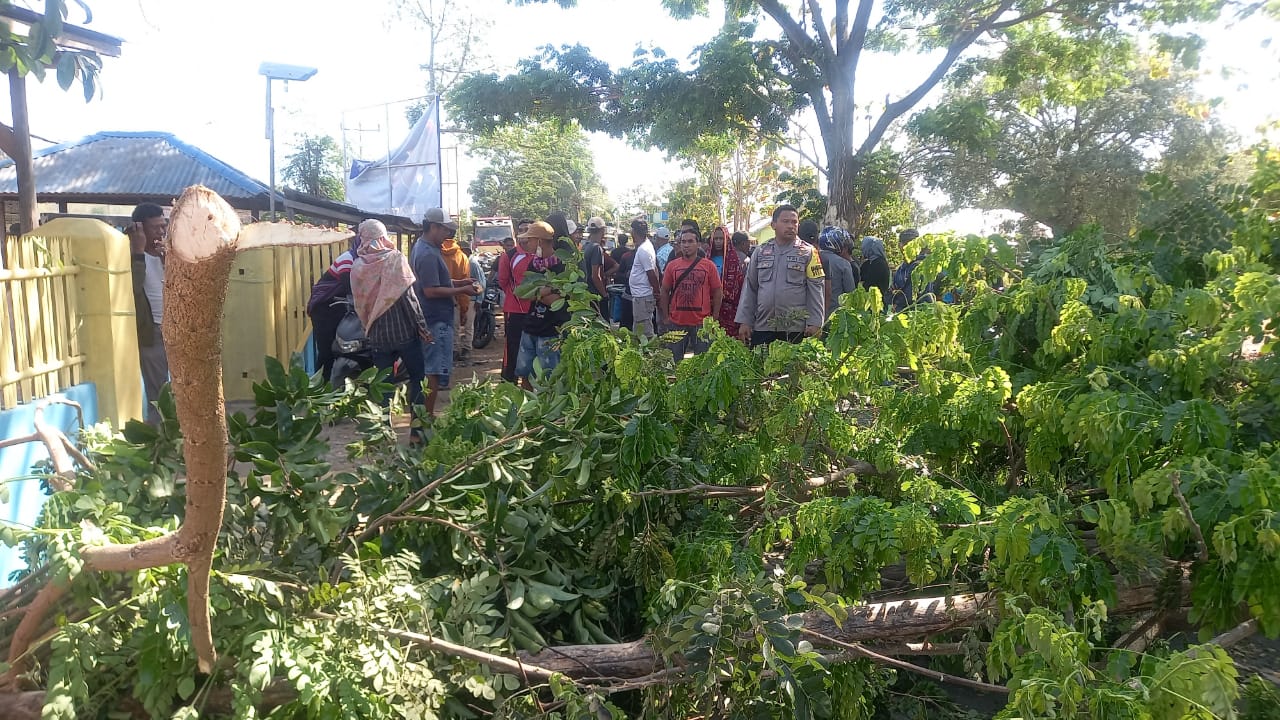 TUNTUT PELAKU DITANGKAP: Warga Desa Mpuri, Kecamatan Madapangga, Bima memblokade jalan menggunakan pohon, Kamis (7/9).
