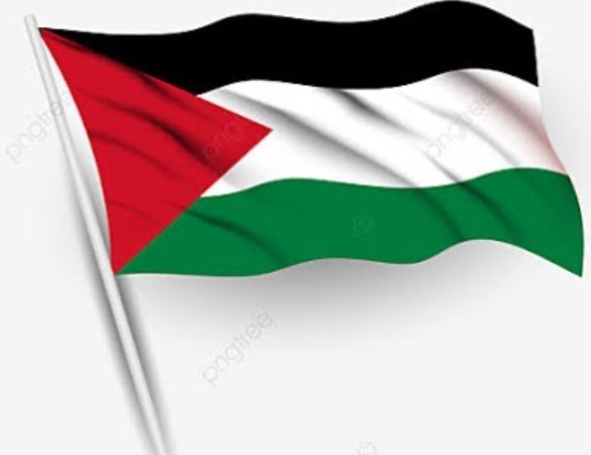 Tangkapan layar IG TGB yang memajang bendera Palestina