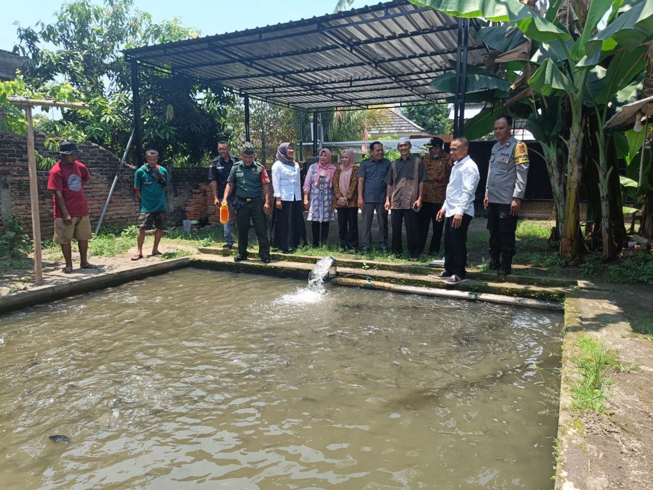 Budidaya ikan air tawar yang tumbuh di kawasan Pengempel Indah, Bertais, Kota Mataram.