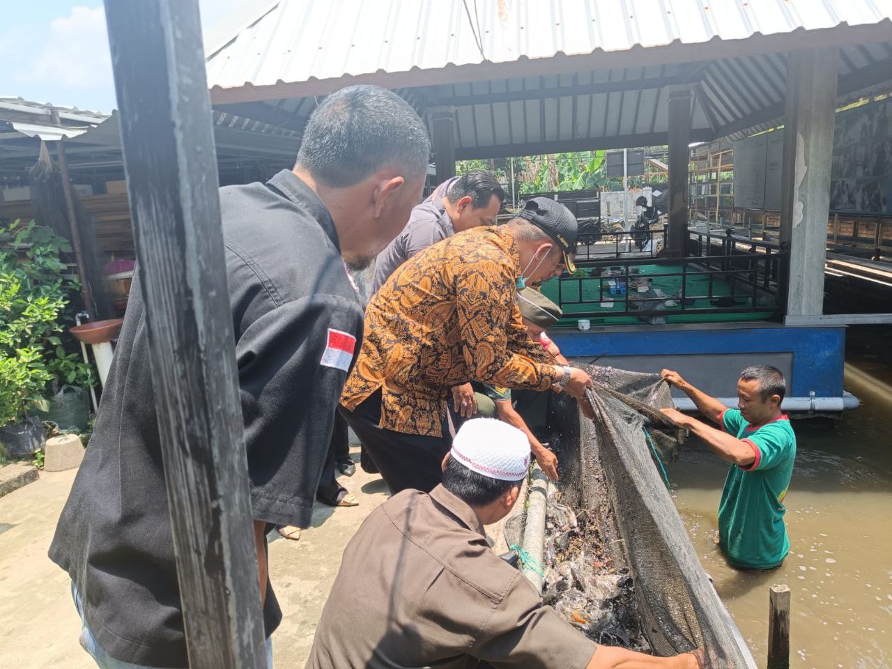 Ikan nila yang terjaring di kolam Mina Jaya, Pengempel Indah, Sandubaya, Kota Mataram.