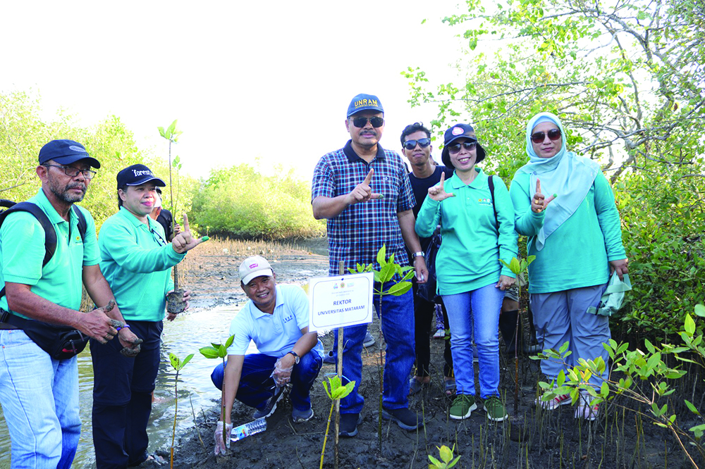 PENANAMAN MANGROVE: Rektor Unram Prof Bambang Hari Kusumo bersama civitas akademika lainnya menanam mangrove di Bagek Kembar, Kecamatan Sekotong, Kabupaten Lombok Barat, Sabtu (21/10) lalu.