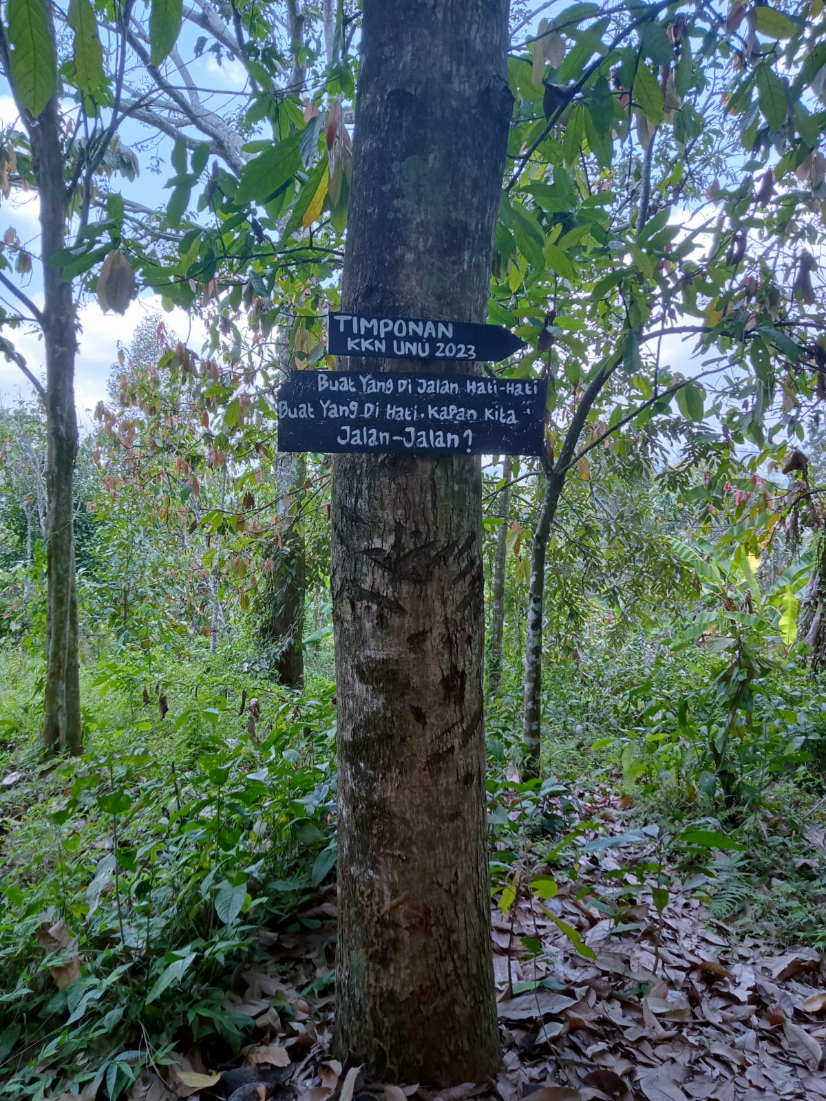 Petunjuk arah menuju Air Terjun Timponan.