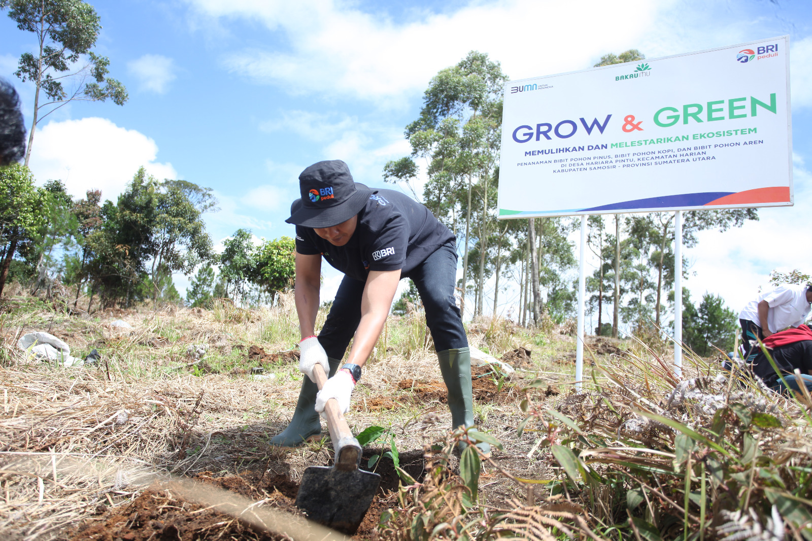 Dalam kegiatan ini, BRI bersama Yayasan Bakau Manfaat Universal dalam menyalurkan bantuan 2.500 bibit pohon kepada Kelompok Tani Hutan (KTH) Marsada  di Desa Hariara Pintu, Kecamatan Harian, Samosir.