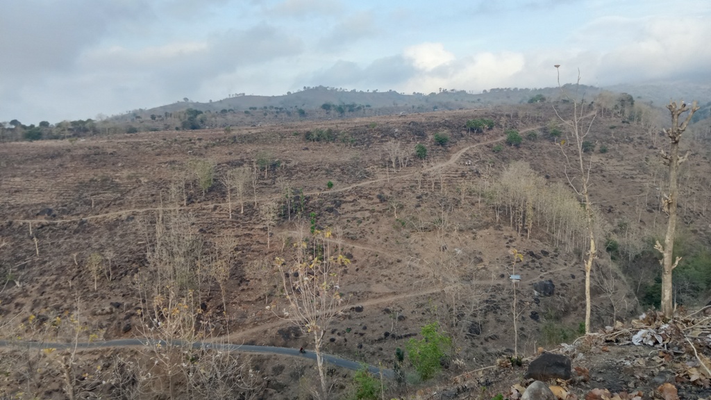Bukit di wilayah Donggo, Kabupaten Bima yang dijadikan lahan jagung.
