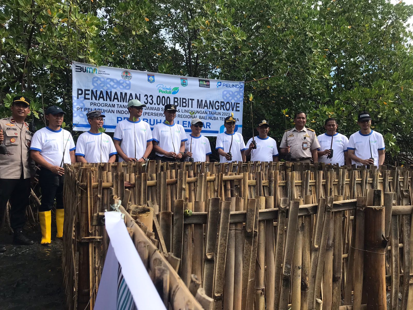 Pelindo, KSOP Lembar, Dinas Lingkungan Hidup Lobar, Camat Lembar, dan warga setempat melakukan penanaman di Pantai Cemara Lembar, Lobar.