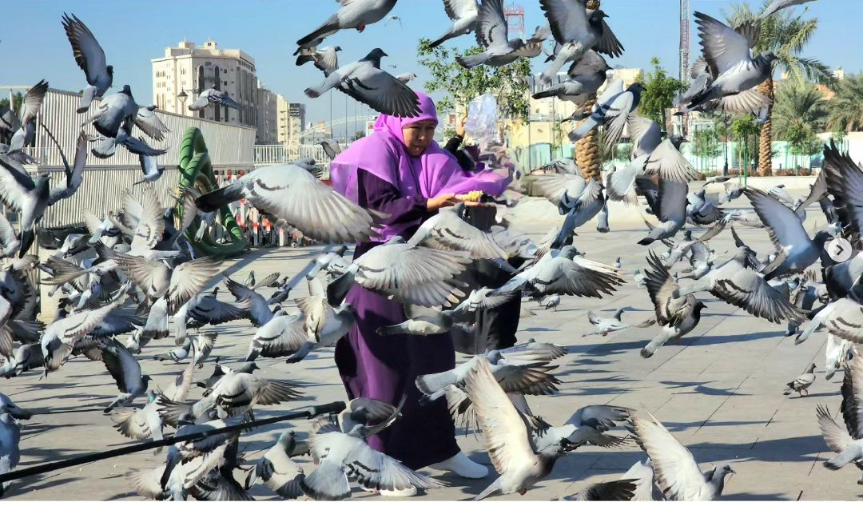 Khofifah Indar Parawansa memberi makan merpati di halaman masjid Quba