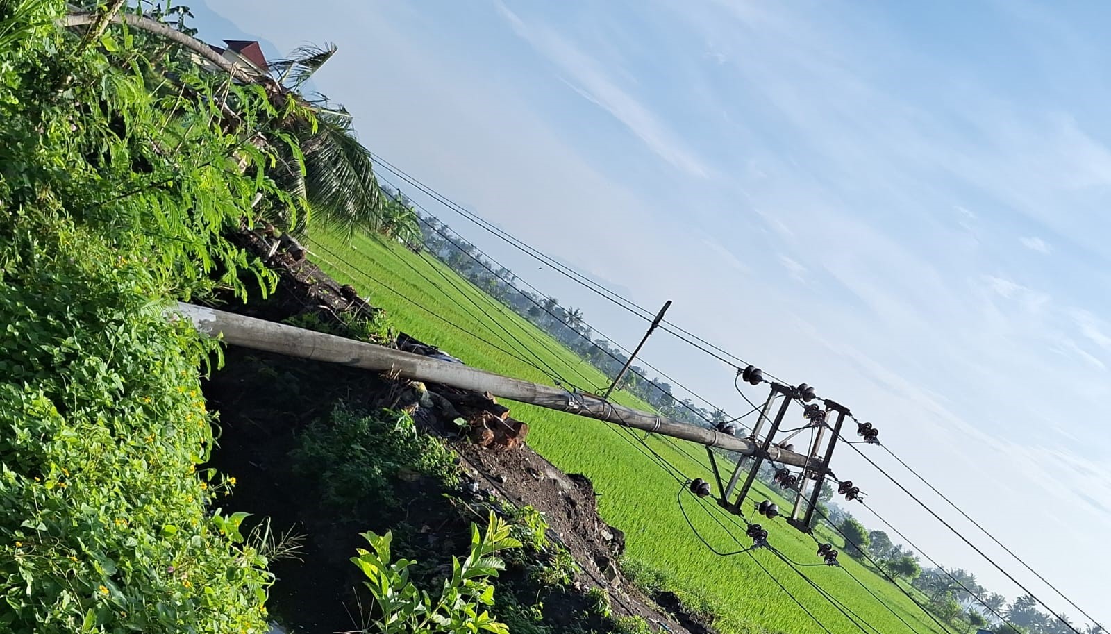 TUMBANG : Salah satu tiang listrik yang tumbang di wilayah Gerung beberapa waktu lalu. (CHIA//LOMBOK POST)