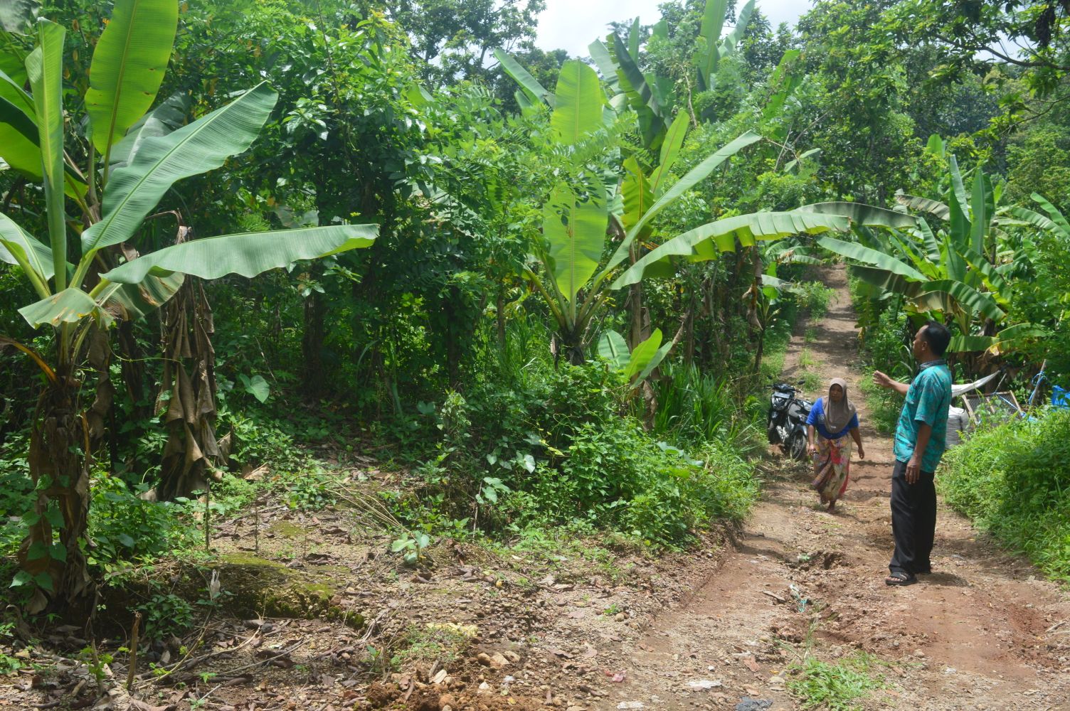 Seorang warga melintas di sekitar bekas lahan HGU PT Tresno Kenangan di Desa Lantan, Kecamatan Batukliang Utara, Loteng.