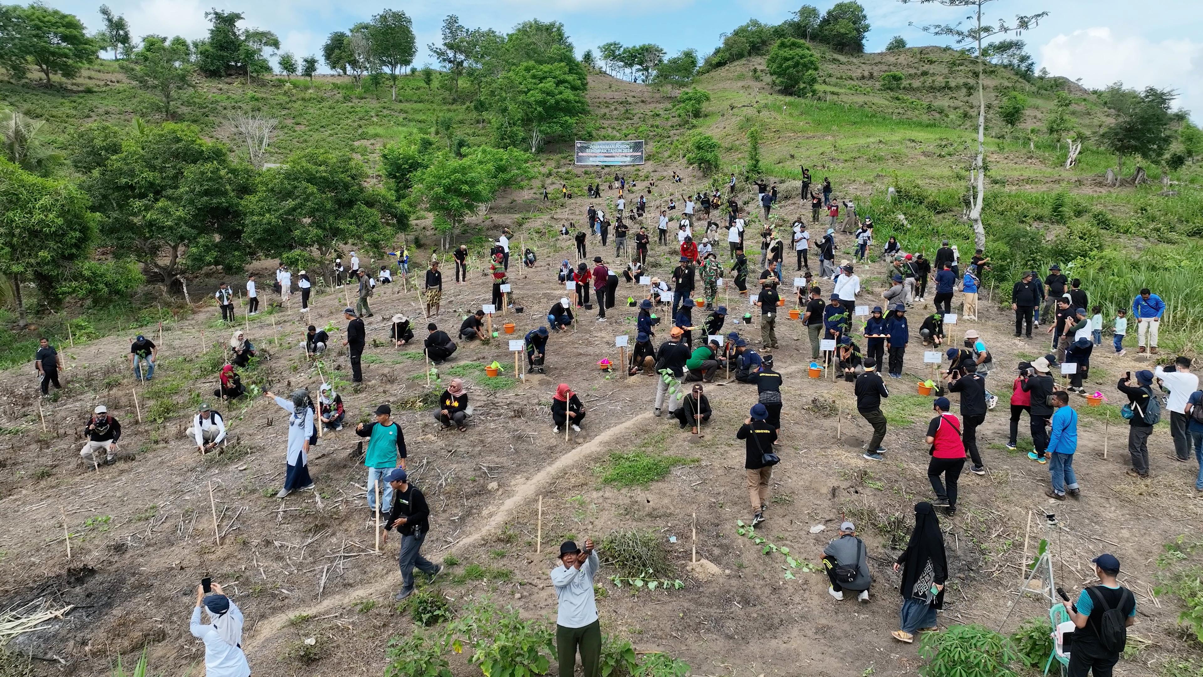 SERENTAK SE INDONESIA: Penanaman pohon dilaksanakan KLHK melibatkan sejumlah unsur dari instansi dan masyarakat di Desa Persiapan Nandus, Kecamatan Pujut, Lombok Tengah, Minggu (14/1).