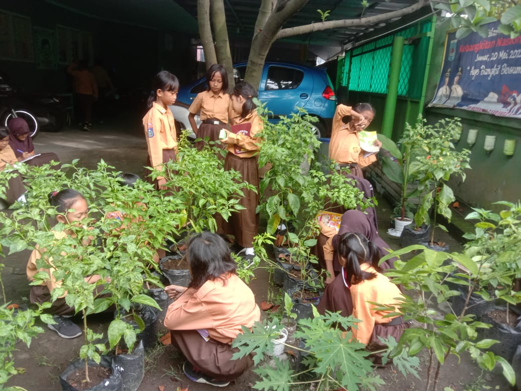 KREATIF: Para murid SDN 19 Cakranegara menanam sayur di halaman sekolah, belum lama ini.(SDN 19 CAKRANEGARA)