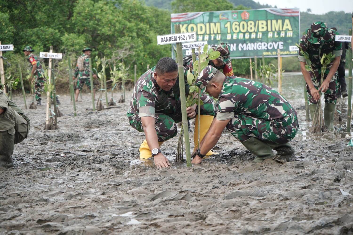 Penanaman bibit mangrove di Pantai Amahami, Kota Bima