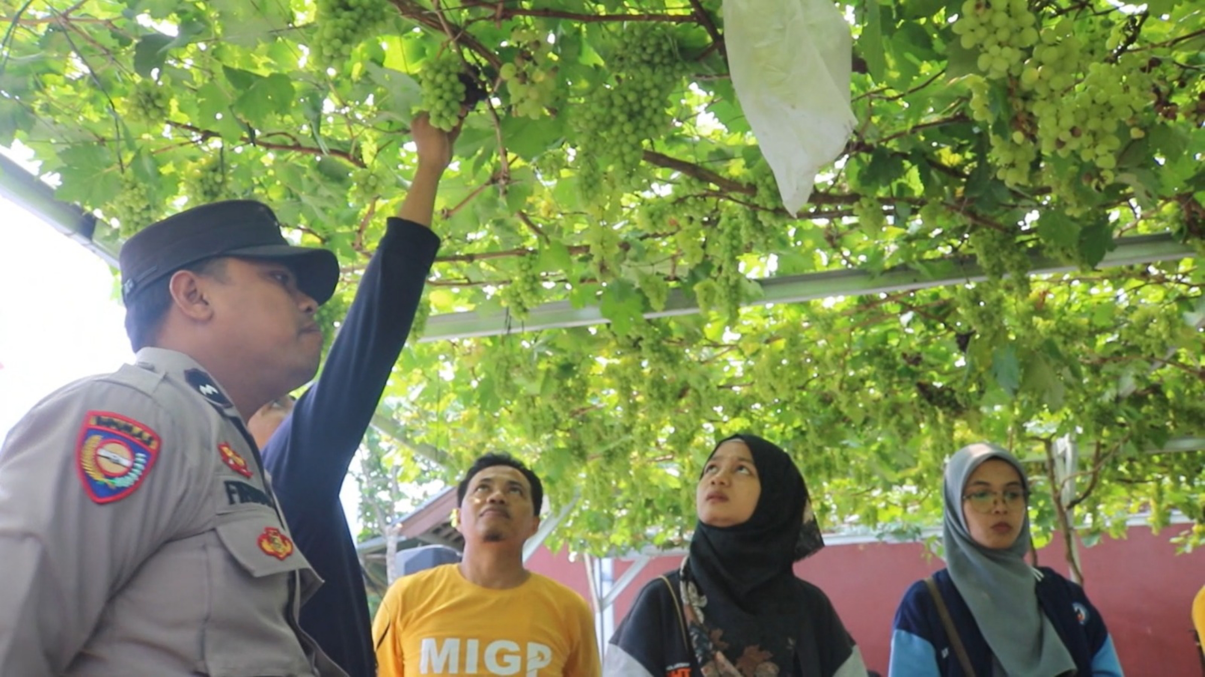 BISNIS ANGGUR: Pengelola Kampung Anggur Aipda Firman Eka Jaya saat menemui pengunjung yang ingin mencicipi anggur, di Kampung Anggur Desa Selat, Kecamatan Narmada, Lombok Barat.(IST/LOMBOK POST)