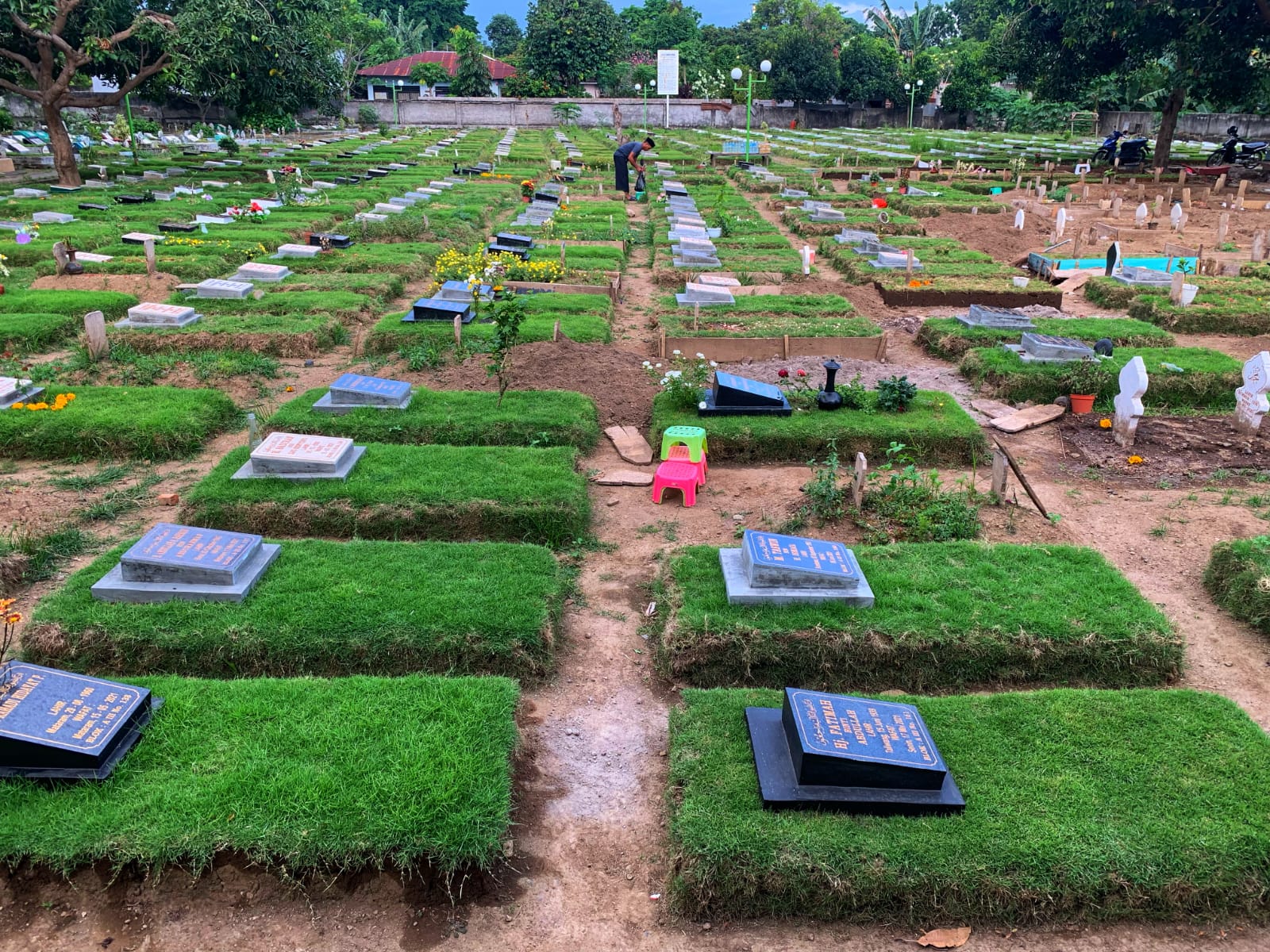 Penggunaan rumput Manila di TPU yang ada di Kota Mataram.