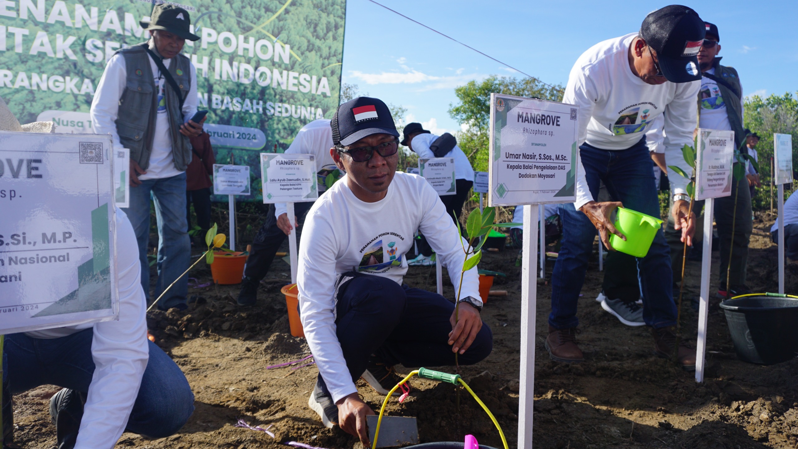 KAMPANYE GLOBAL: Worlds Wetland Day (Hari Lahan Basah Sedunia) diperingati Balai Pengelolaan DAS (BPDAS) Dodokan Moyosari dengan menanam mangrove di KEK Mandalika, Rabu (7/2).