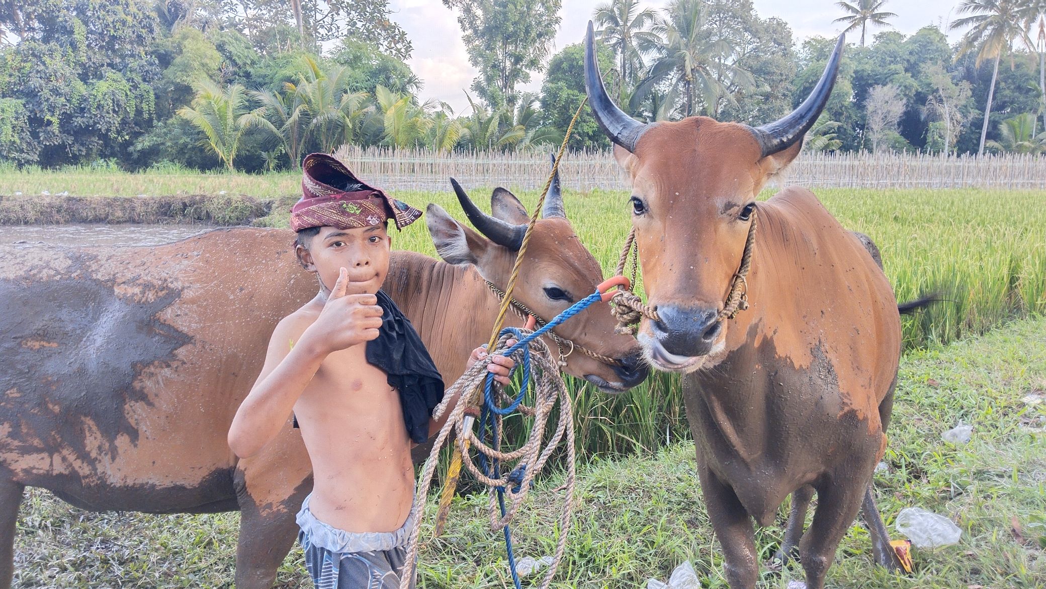 PENJAGA TRADISI BUDAYA: Muhammad Faiz berfoto bersama dua ekor sapi jagoannya usai mengikuti Malean Sampi di Desa Suranadi, Kecamatan Narmada,  Lombok Barat, Minggu (18/2).