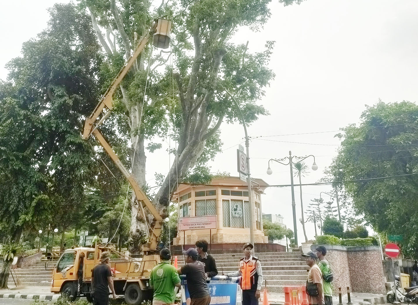Petugas DLH Kota Mataram melakukan perampingan pohon di Jalan Pejanggik Kota Mataram.