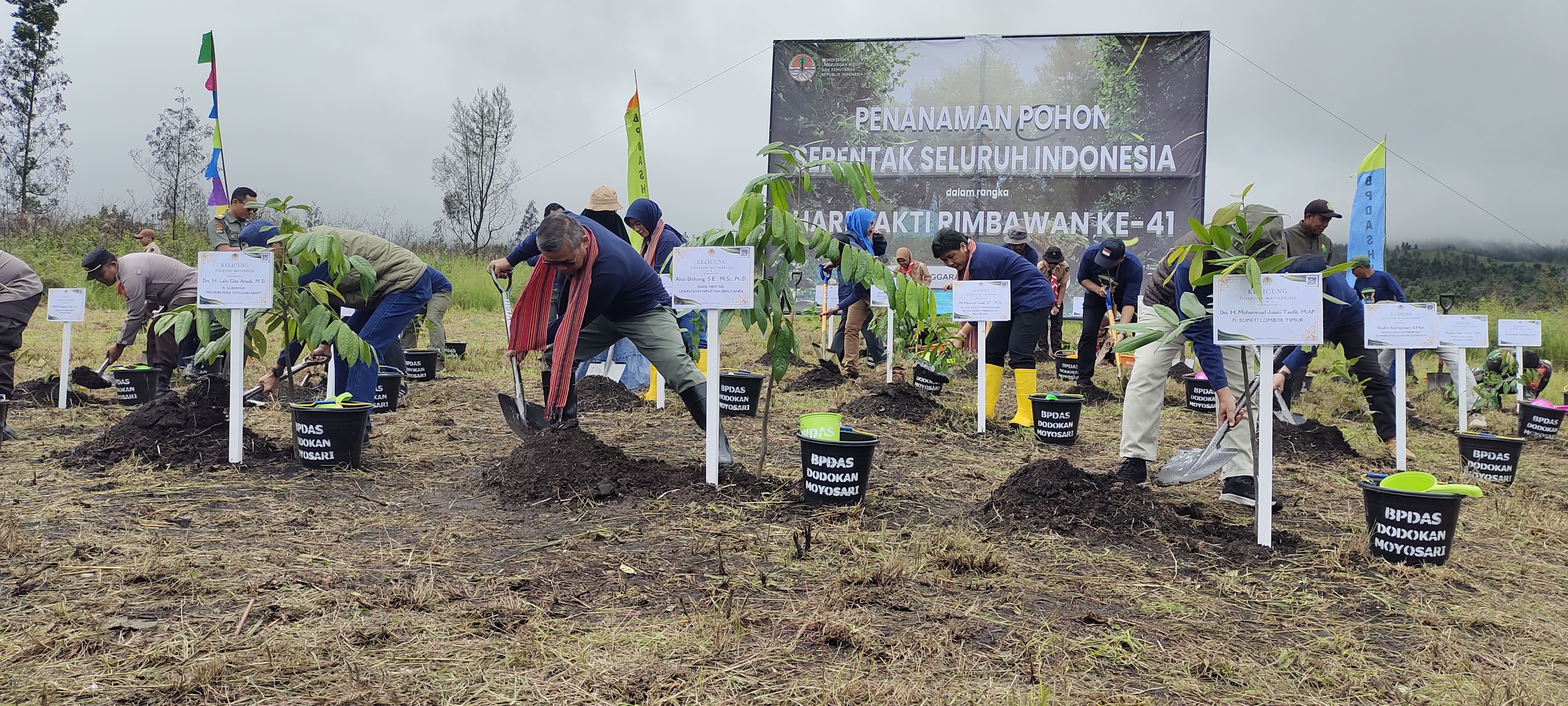 UNTUK KEHIDUPAN: Wamen LHK Alue Dohong bersama sejumlah pejabat menanam bibit pohon di Kawasan Hutan Sembalun Taman Nasional Gunung Rinjani